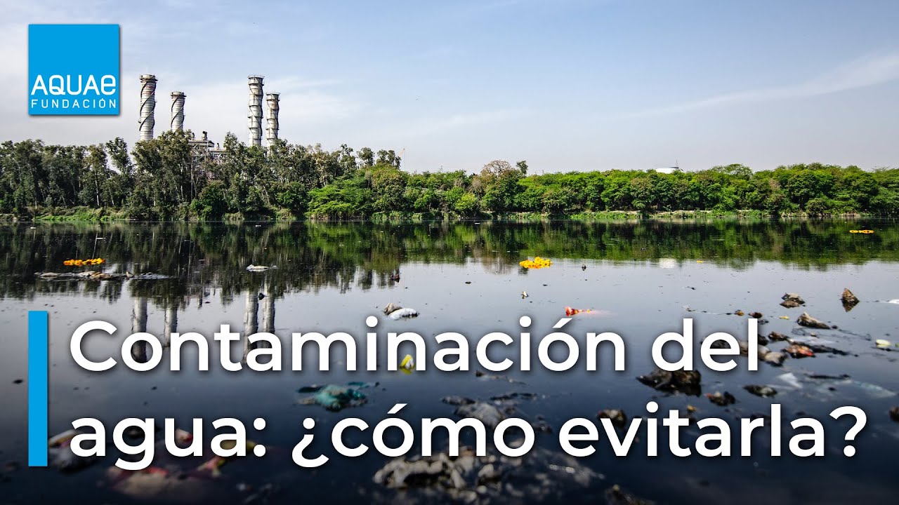 ¿cómo Evitar La Contaminación Del Agua En La Agricultura Estrategias