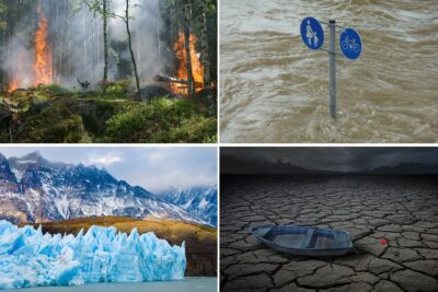 Cómo influye el calor y la temperatura en el desarrollo de todo ser