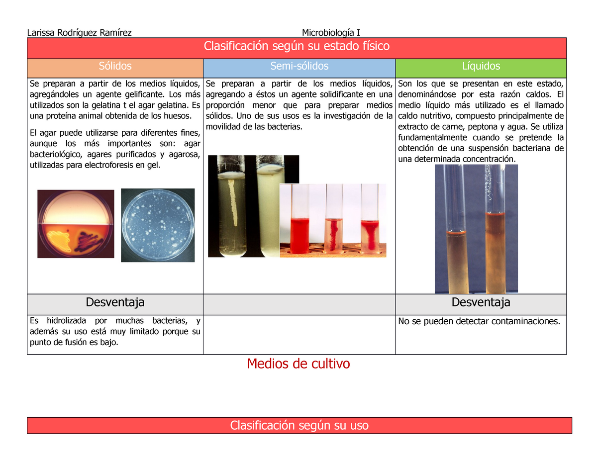 C Mo Se Clasifican Los Cultivos Seg N Su Uso Descubre C Mo