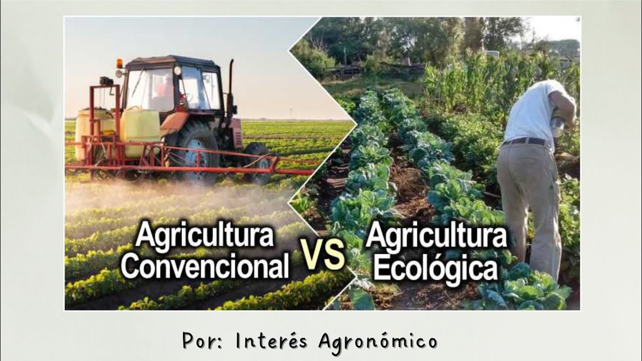 ¿Cuál Es La Diferencia Entre La Agricultura Tradicional Y Moderna ...