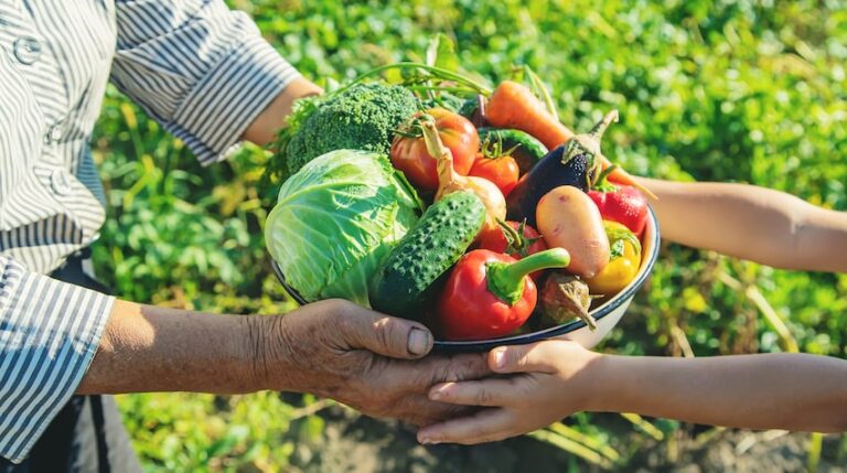 Que Era La Agricultura De Subsistencia Agricultura De Subsistencia