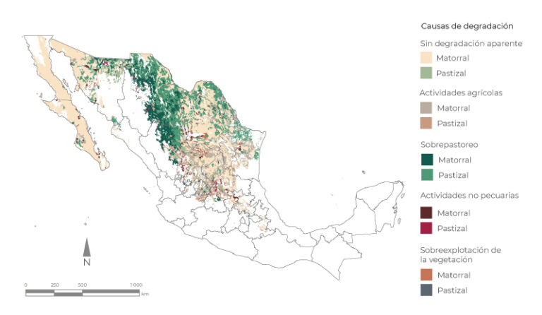 Cu Les Son Las Causas De La Expansi N De La Frontera Agropecuaria