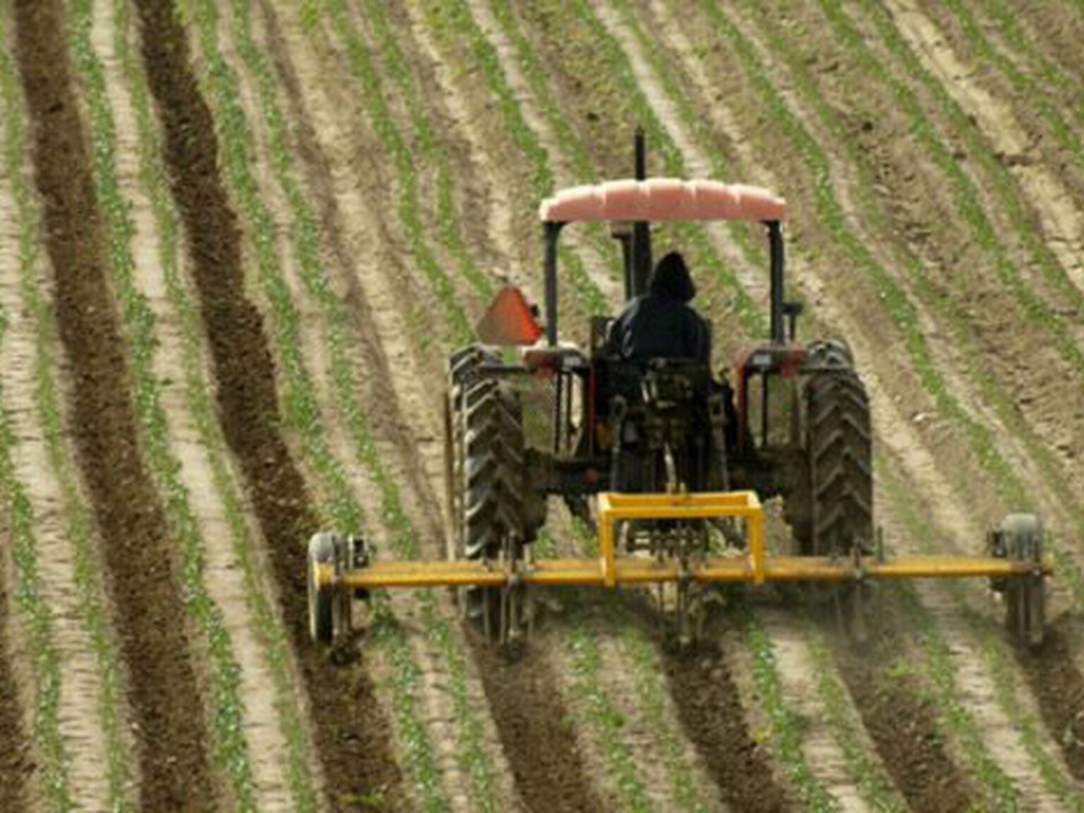 Cuántas personas trabajan en la agricultura Descubre cuántos