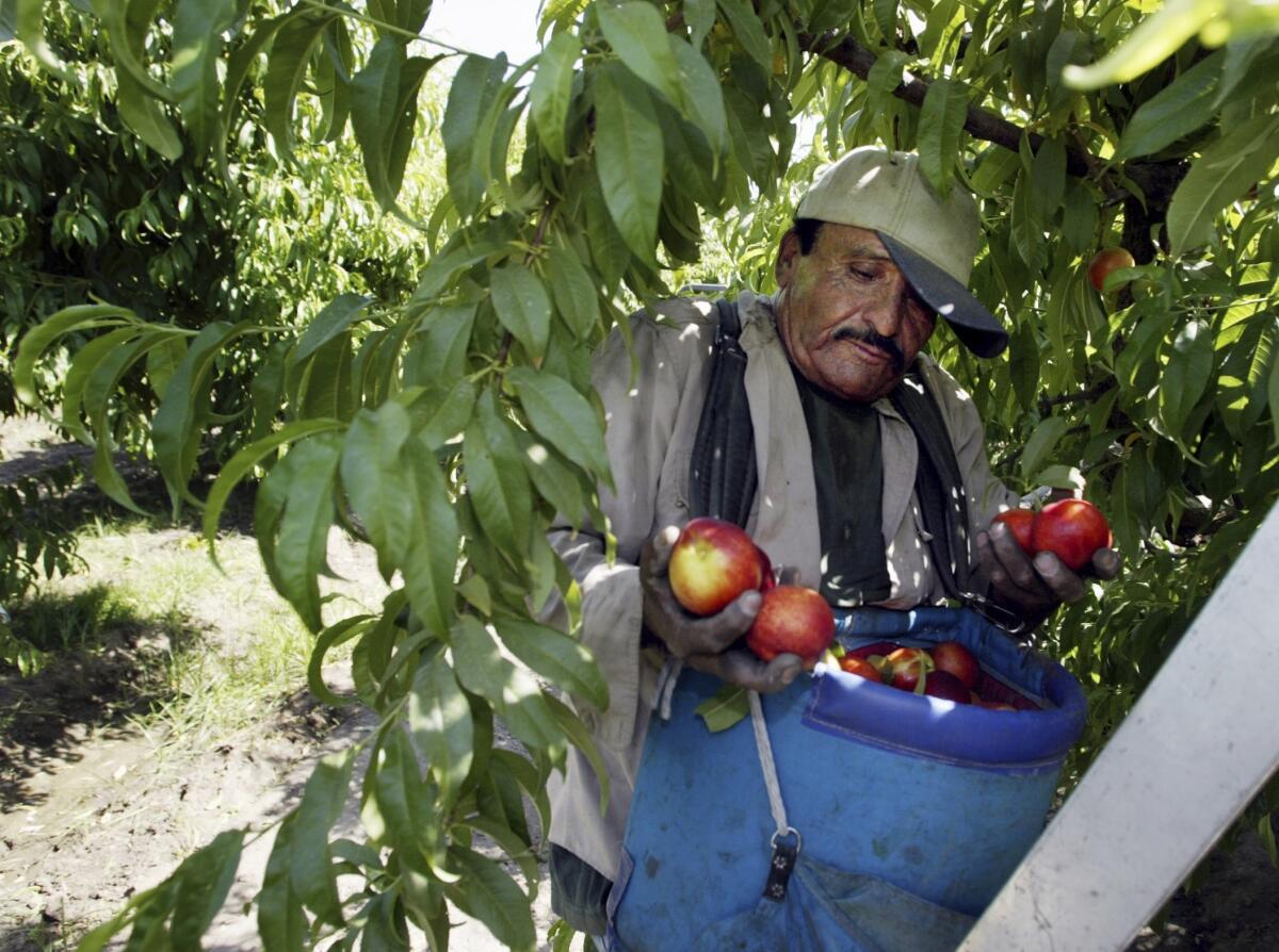 Departamento De Agricultura De Los Estados Unidos Usda USDA Ayuda