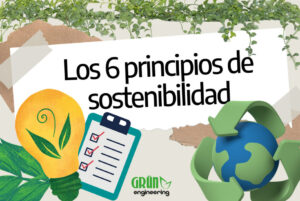 Qué es el principio de sostenibilidad ambiental Principio de