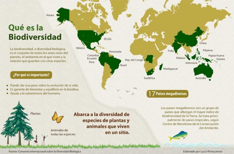 Qué podemos hacer para ayudar a la biodiversidad 10 acciones para