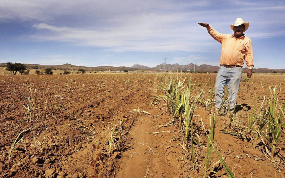 La Agricultura Y Su Impacto En El Medio Ambiente