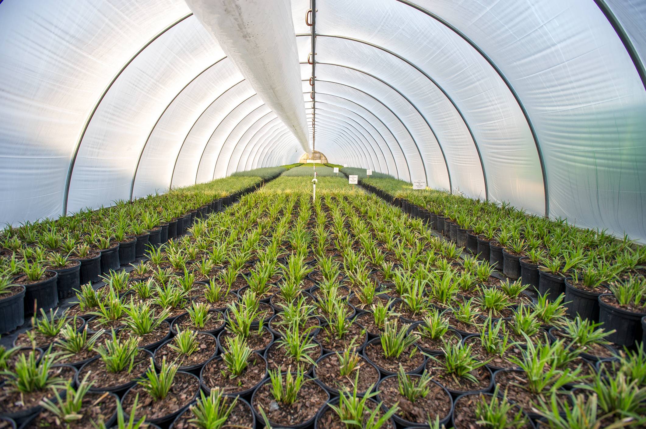 ¿cómo Se Clasifican Los Espacios Agricolas Clasificación De Espacios