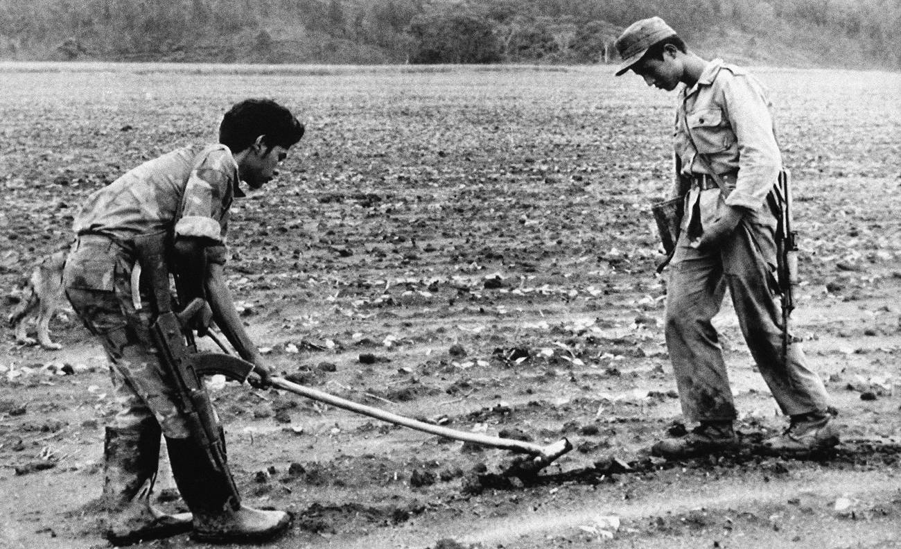 ¿Qué es la reforma agraria y para qué sirve?: Reforma agraria ...