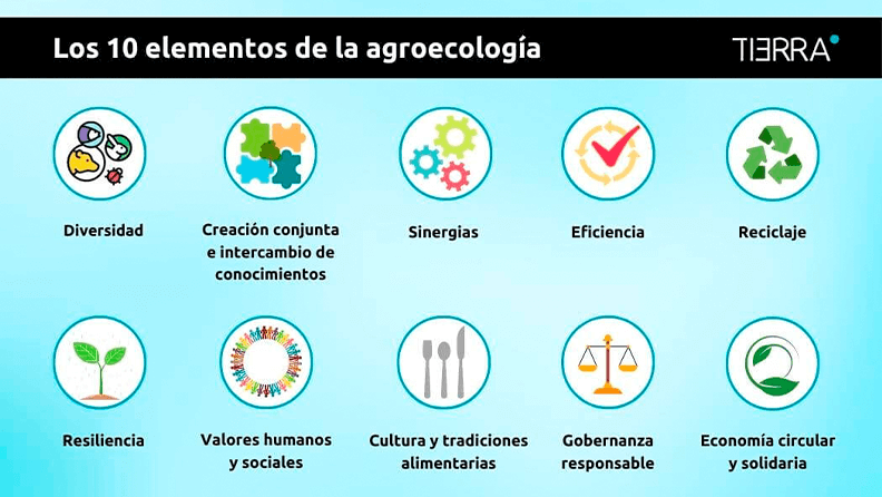 ¿cuáles Son Los 10 Principios De La Agroecología 10 Principios De La Agroecología Para Unaemk 1017