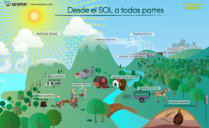 ¿Cuáles Son Los Recursos Naturales Que Se Renuevan?: Benefíciate De 5 ...