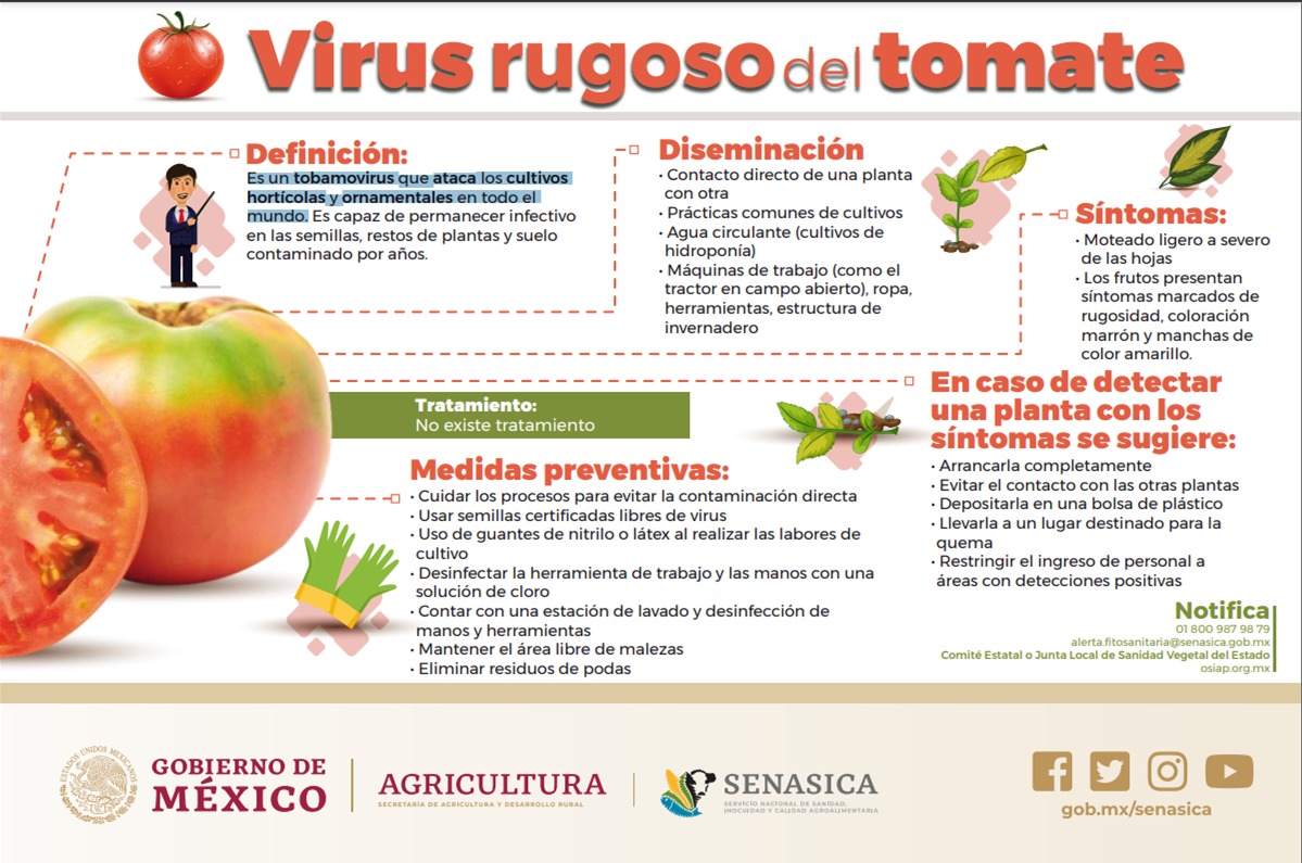 ¿Qué es un virus en la agricultura? Cómo los virus afectan la agricultura Guía completa ¿Qué es un virus en la agricultura? Cómo los virus afectan la agricultura Guía completa