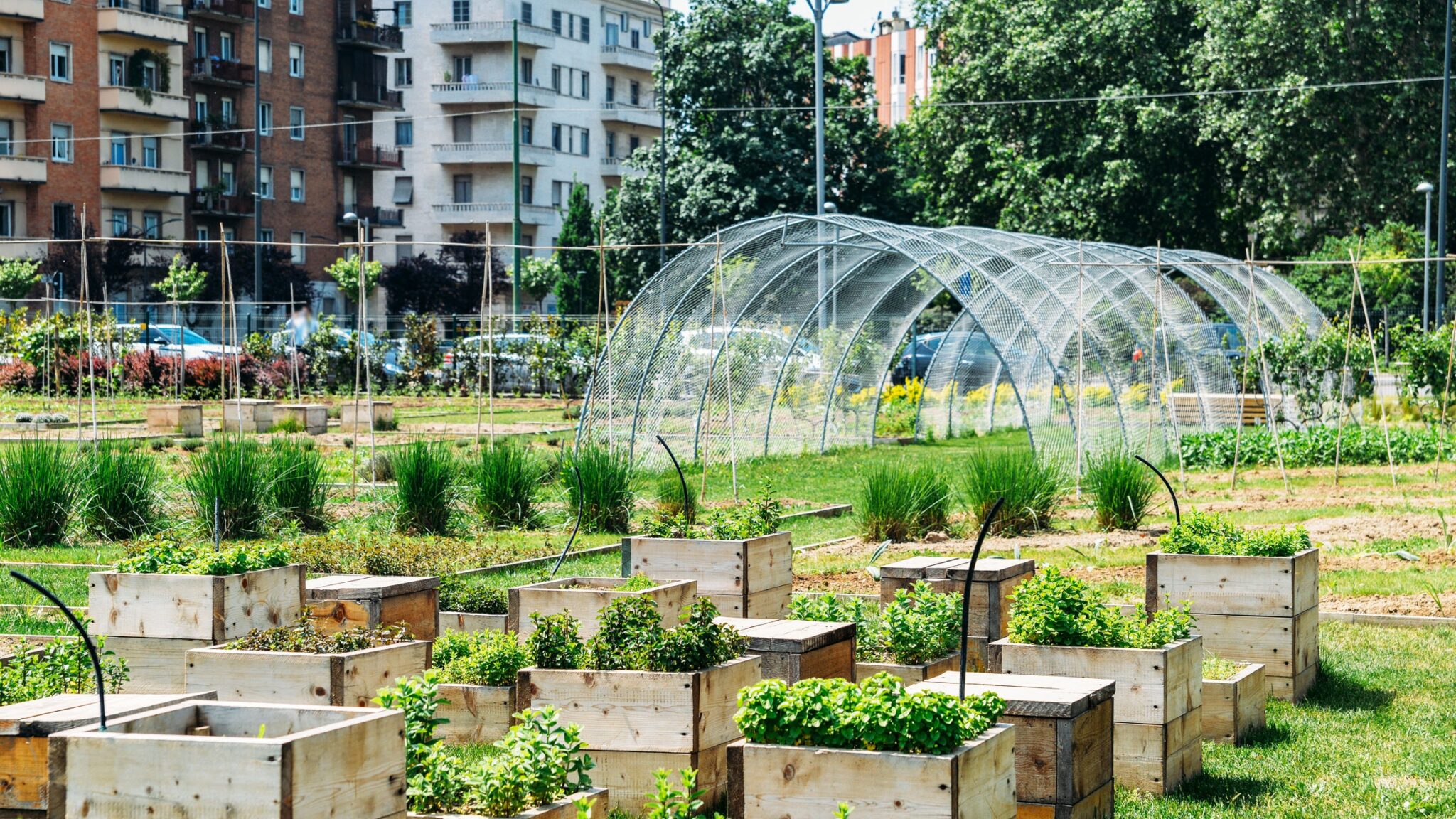 ¿Qué son mesas de cultivos y huertos verticales?: Transforma tu jardín ...