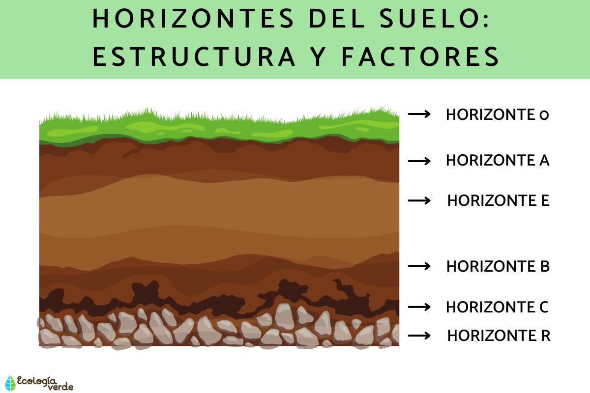 ¿Qué tipo de suelo tiene la tierra?: Descubre el tipo de suelo de la ...